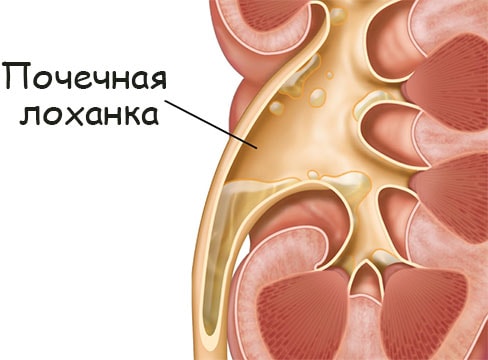 Актуальные ссылки на кракен тор